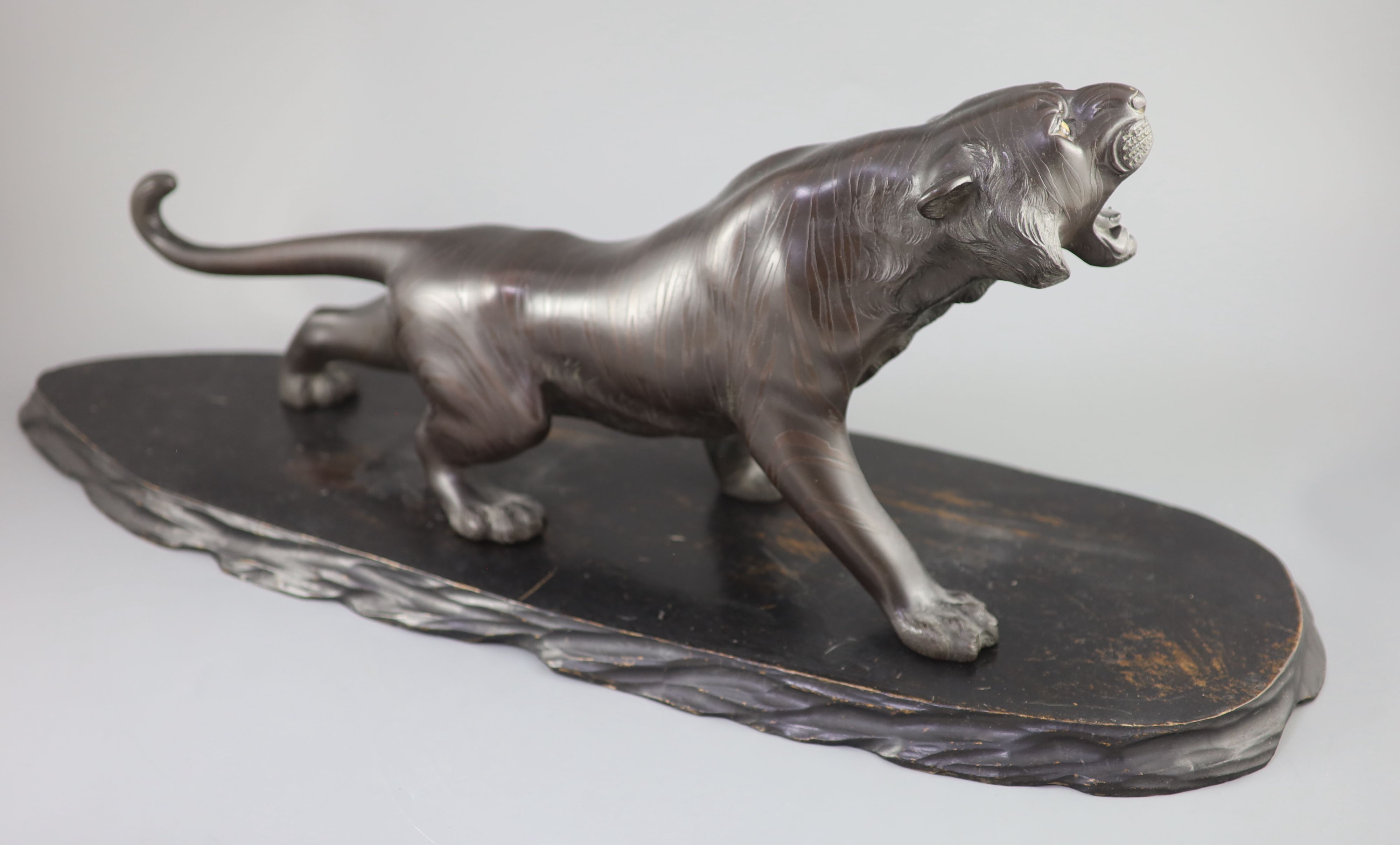 A Japanese bronze figure of a tiger, naturalistically modelled, standing roaring, Meiji period, signed, on wooden plinth 24in.